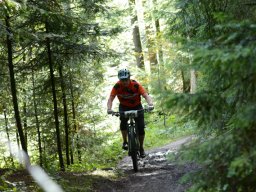 MTB Kreiscup 2022-10_Lindenberg